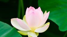 ปฏิทินวันพระ 2562 เดือนกันยายน