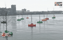 สวนลอยน้ำในเนเธอร์แลนด์