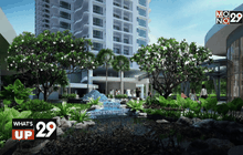 What’s up 29 14-11-58