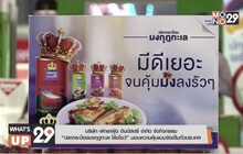ปลากระป๋องมงกุฎทะเล Road Show