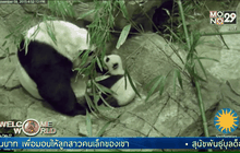 ลูกแพนด้าหัดเดิน