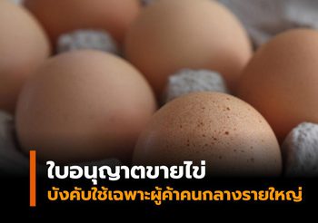 ปศุสัตว์ แจง ‘ใบอนุญาตขายไข่’ บังคับใช้เฉพาะผู้ค้าคนกลางรายใหญ่