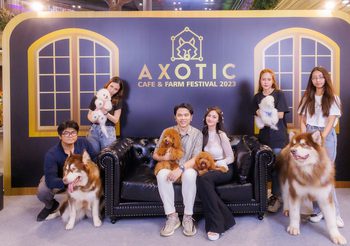 Axotic Cafe & Farm ทุ่มงบ 20 ล้านบาท เปิดตัวฟาร์มสุนัข “โกลเด้นดูเดิ้ล” ใหญ่ที่สุดในไทย