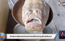 นักวิชาการยันปลาหน้าประหลาดคือปลาอุบยักษ์แต้มขาว
