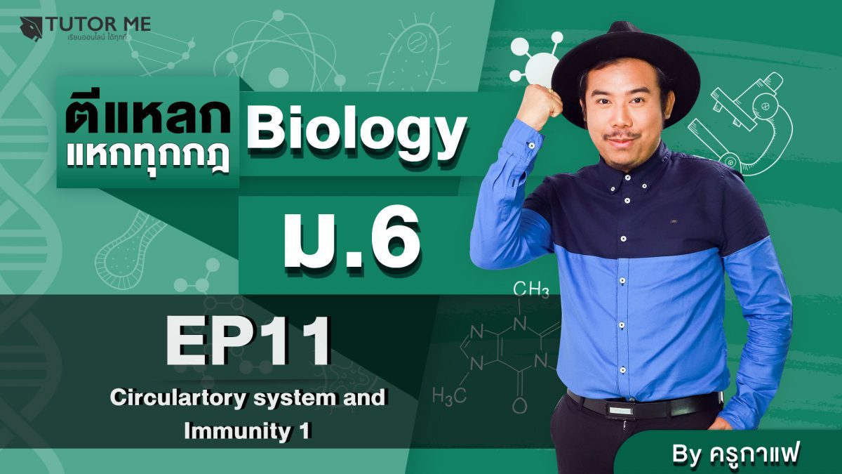 EP 11 Circulartory system and Immunity 1
