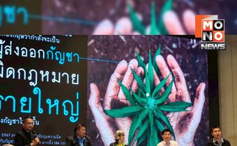 3 ปี กัญชาเสรี สุญญากาศกฎหมาย-ผลกระทบพุ่ง