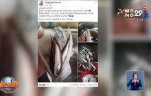 ​เตือน ปลาหมึกยัดไส้ กลโกงช่วงเทศกาล