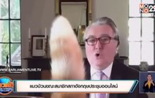 ​แมวป่วนขณะสมาชิกสภาอังกฤษประชุมออนไลน์