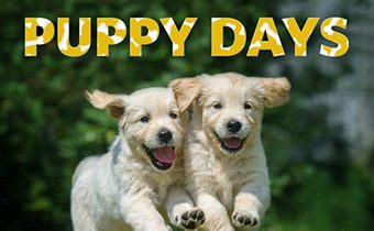 Puppy Days วันแห่งลูกสุนัข