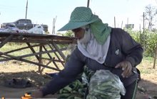 ภัยแล้งกระทบผลิตน้ำประปา-ปลูกข้าว