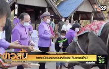 จดทะเบียนสมรสบนหลังช้าง รับวาเลนไทน์