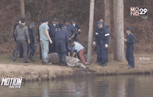 ม้าลายป่วนสนามกอล์ฟ-จมน้ำตายที่ญี่ปุ่น