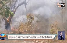 นายกฯ สั่งเร่งหาคนเผาป่าภาคเหนือ และดำเนินคดีเด็ดขาด