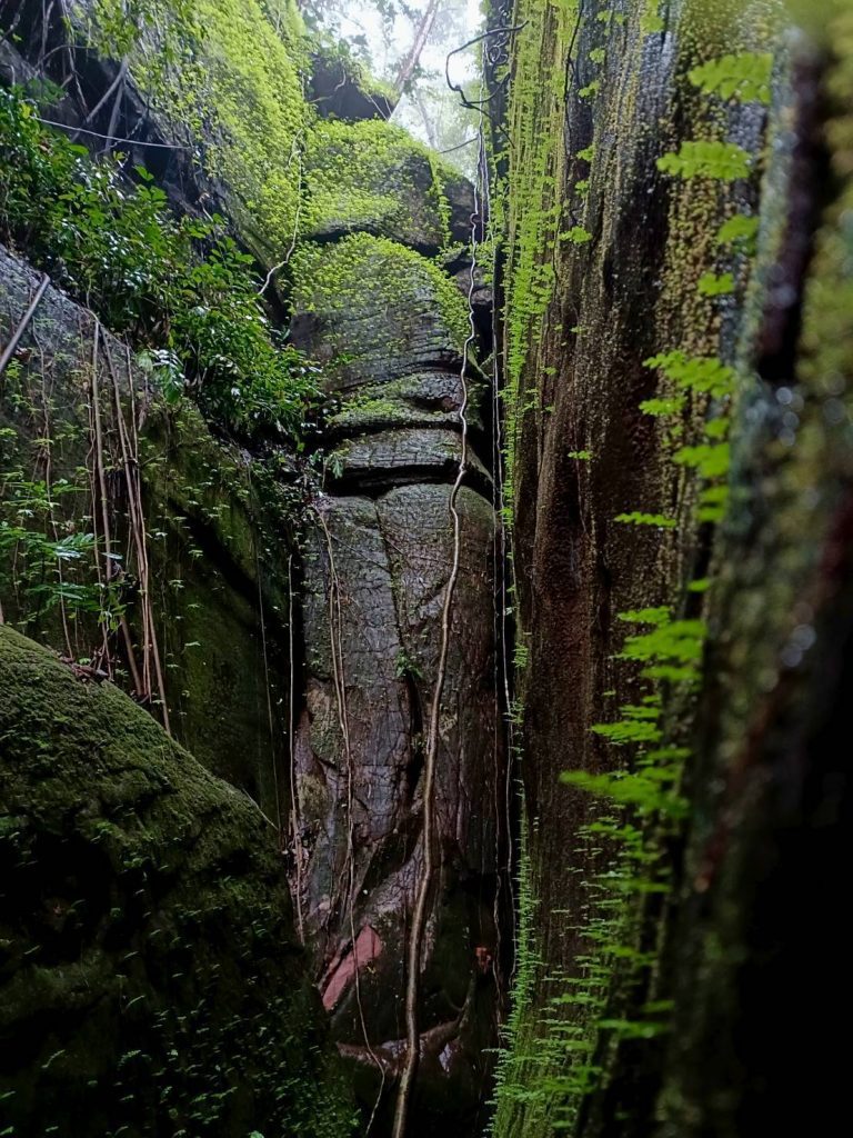 ถ้ำนาคี