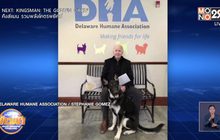 สุนัขคู่ใจ ปธน.ไบเดน ถูกส่งตัวกลับบ้าน เหตุ กัดเจ้าหน้าที่