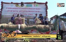 รณรงค์งดเผา “ตอซังข้าว” แก้ปัญหาฝุ่น