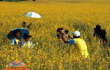 Good Morning Thailand 14-12-58