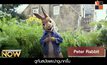 Movie Review : Peter Rabbit