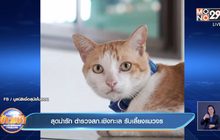 สุดน่ารัก ตำรวจสภ.เชิงทะเล รับเลี้ยงแมวจร