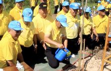 พสกนิกรทำความดีเนื่องในพระราชพิธีบรมราชาภิเษก