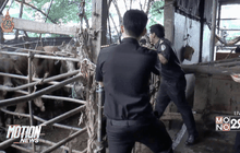 จับโรงฆ่าสัตว์เถื่อน จ.นนทบุรี