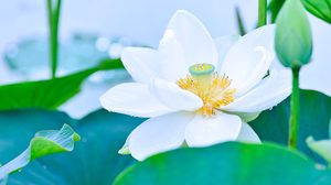 ปฏิทินวันพระ 2561 เดือนตุลาคม