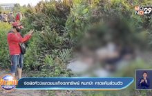 จ่อยิงหัว 3 เยาวชนแก๊งฉกทรัพย์ หมกป่า คาดแค้นส่วนตัว