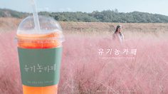 เที่ยวเกาหลี จิบกาแฟชมทุ่งหญ้าสีชมพูกับ Organic Cafe มีแค่ช่วงใบไม้ร่วงเท่านั้น