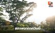 สภาพอากาศวันนี้ อากาศร้อนถึงร้อนจัด ฝนลดลง
