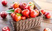 10 ประโยชน์ของ แอปเปิ้ล กินแบบปอกเปลือก หรือไม่ปอกดีกว่า?