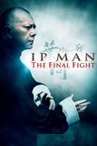 IP Man : The Final Fight หมัดสุดท้าย ปรมาจารย์ยิปมัน