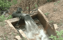 ชาวนาสิงห์บุรี ยังคงเดินหน้าสูบน้ำ