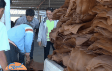 รัฐบาลยืนยันไม่ชดเชยส่วนต่างราคายางพารา