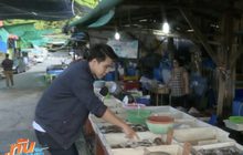 อาหารทะเลสดๆ ที่สะพานปลาแหลมฉบัง จ.ชลบุรี