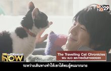 Movie Review : The Travelling Cat Chronicles ผม แมว และการเดินทางของเรา