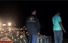 ตร.จับสุรานอกหนีภาษี 410 ลัง