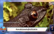 ค้นพบสัตว์สายพันธุ์ใหม่ในโบลิเวีย