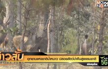 อุทยานแห่งชาติน้ำหนาว ปล่อยสัตว์ป่าคืนสู่ธรรมชาติ