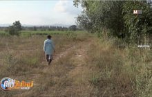 คลังแจงปล่อย”เช่าบ้าน-คอนโด”ไม่เสียภาษีล้านละ 3,000บาท