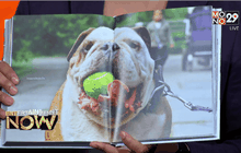 โมโนพับลิชชิ่ง เปิดตัวสำนักพิมพ์ใหม่ “GEEK BOOK” ตอน2