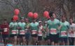 นักวิ่ง 4 พันคนร่วมงาน “ยูนิครันนิ่งเขาใหญ่ฮาล์ฟมาราธอน”