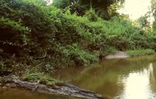 วิธีอาบป่าชำระสุขภาพเพื่อลดความตึงเครียด