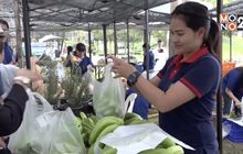 ชาวเขาขนผักปลอดสารพิษ ขายตลาดนัดชาวดอย