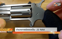 อำนาจการยิงของปืน .22 NNA