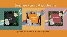 ขั้นกว่าของ หอมแดง พืชสมุนไพรไทย สู่ผลิตภัณฑ์ “Blooms Home Fragrance” น้ำหอมเสียบปลั๊กในบ้าน สารสกัดจากธรรมชาติ ฝีมือคนไทย