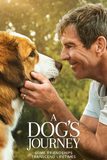A Dog’s Journey หมา เป้าหมาย และเด็กชายของผม 2