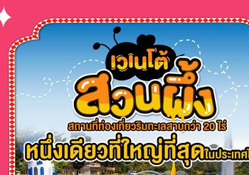 เวเนโต้ สวนผึ้ง ธรรมชาติสวยๆ จูงมือกันเที่ยว เตรียมรับลมหนาว เคล้าคลอดนตรี ชิลไม่ไหวไปกับ Chang Music Connection Presents Season of Love Song ครั้งที่ 13