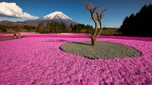 10 ที่เที่ยวสุดคัลเลอร์ฟูล ถ่ายรูปสวย จบหลังกล้อง ไม่ง้อแอพ