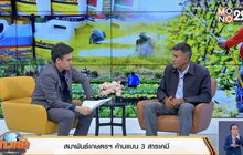 สมาพันธ์เกษตรฯ ค้านไม่เห็นด้วยแบน 3 สารเคมีการเกษตร