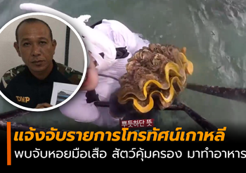 หัวหน้าอุทยานฯหาดเจ้าไหม แจ้งจับรายการโทรทัศน์เกาหลี จับหอยมือเสือ